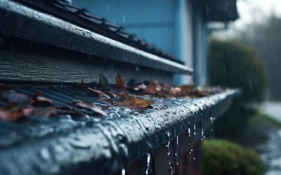 Guide to Gutter Clog Prevention