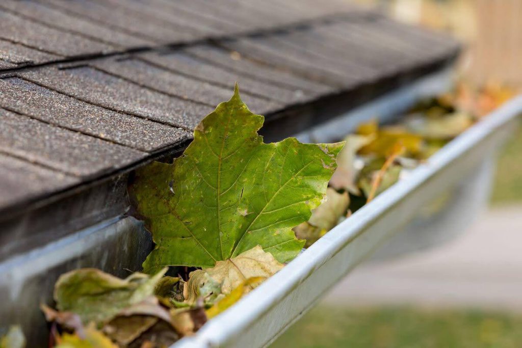 leaves in gutters clogged gutters van's rain gutters